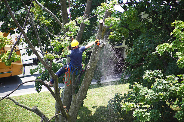 Landscape Design and Installation in Rush Springs, OK